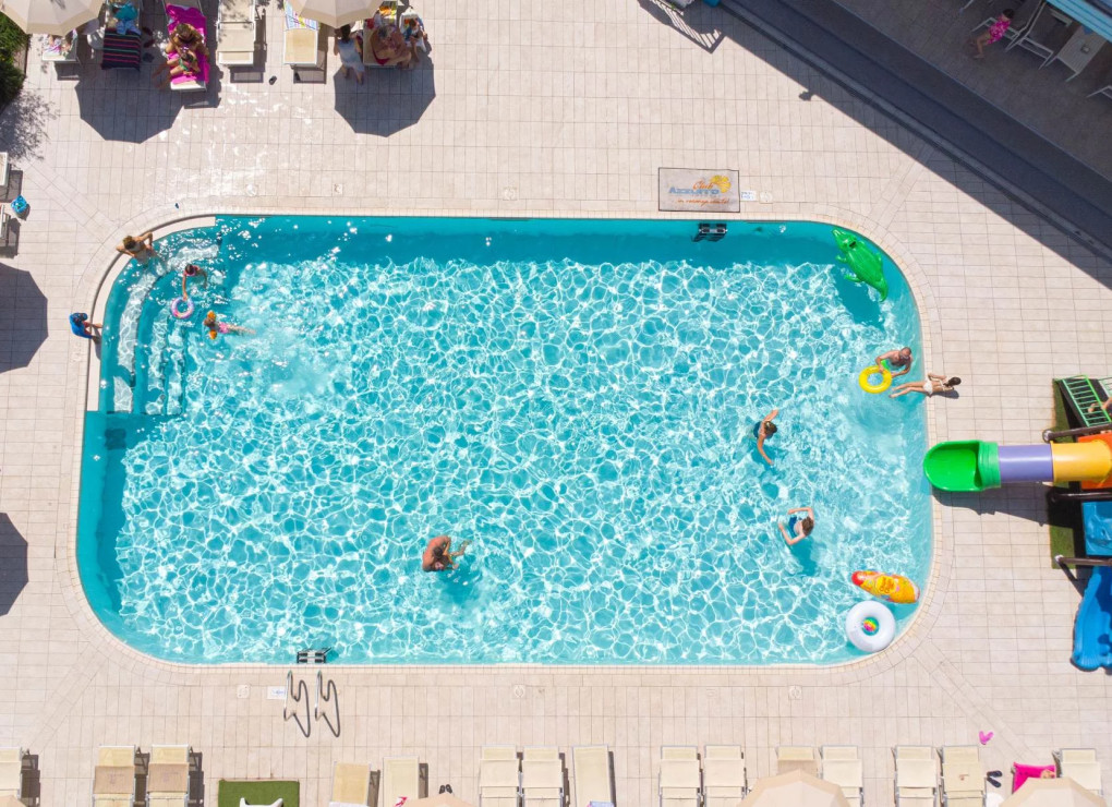 media.1734964481_alexander24-6