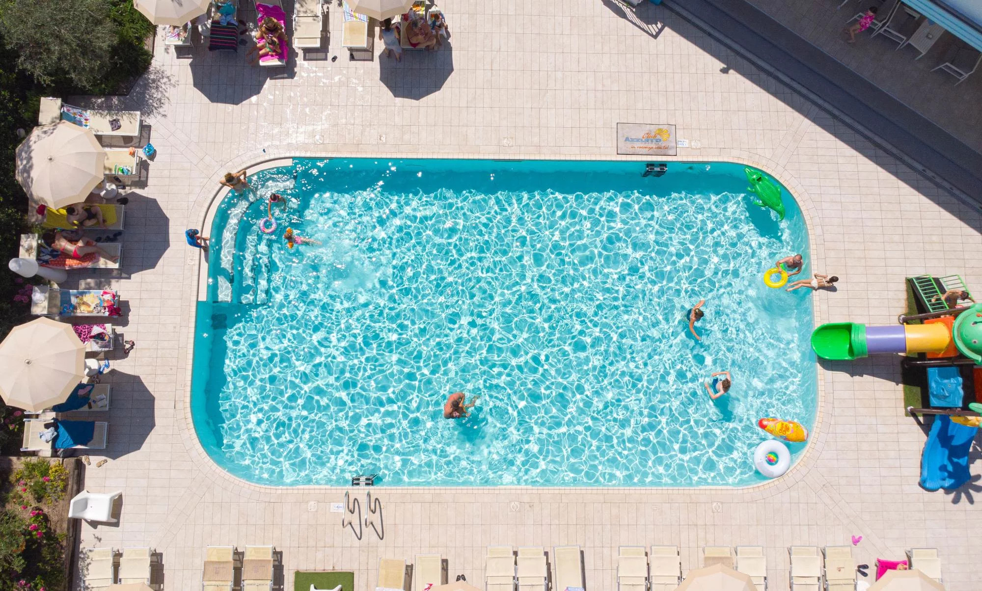 media.1734964481_alexander24-6