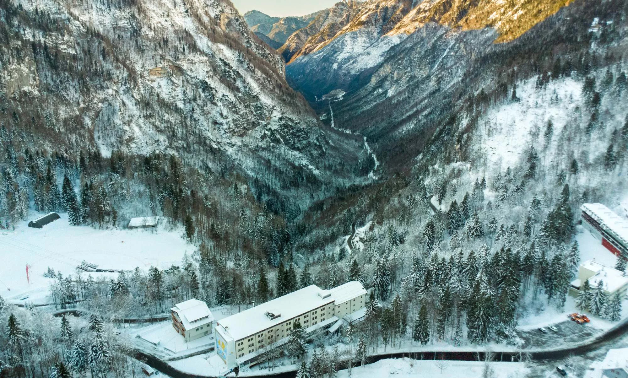 media.1735811908_forte-01_(1)